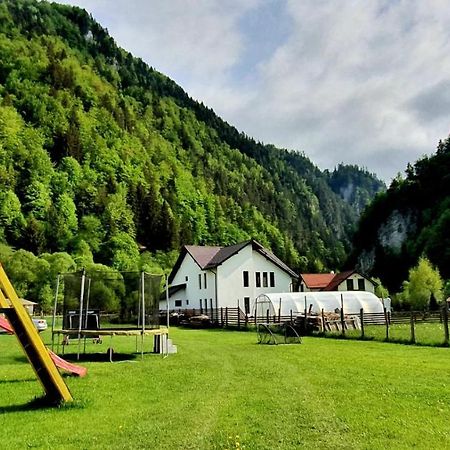 Casa Petruta Dambovicioara Podu Dimbovitei Exterior foto