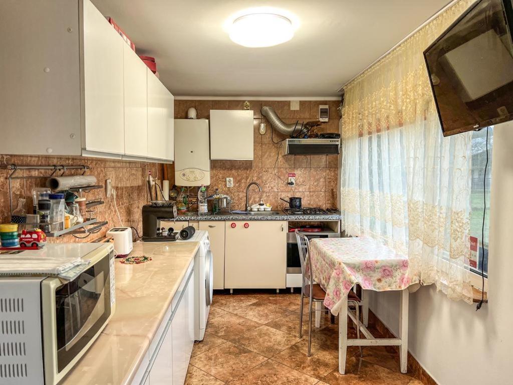 Casa Petruta Dambovicioara Podu Dimbovitei Exterior foto