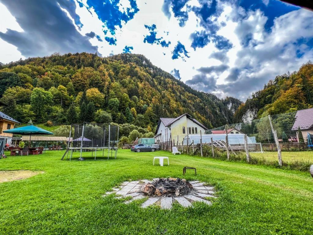 Casa Petruta Dambovicioara Podu Dimbovitei Exterior foto