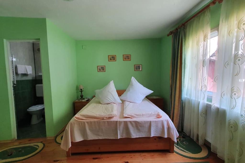 Casa Petruta Dambovicioara Podu Dimbovitei Exterior foto