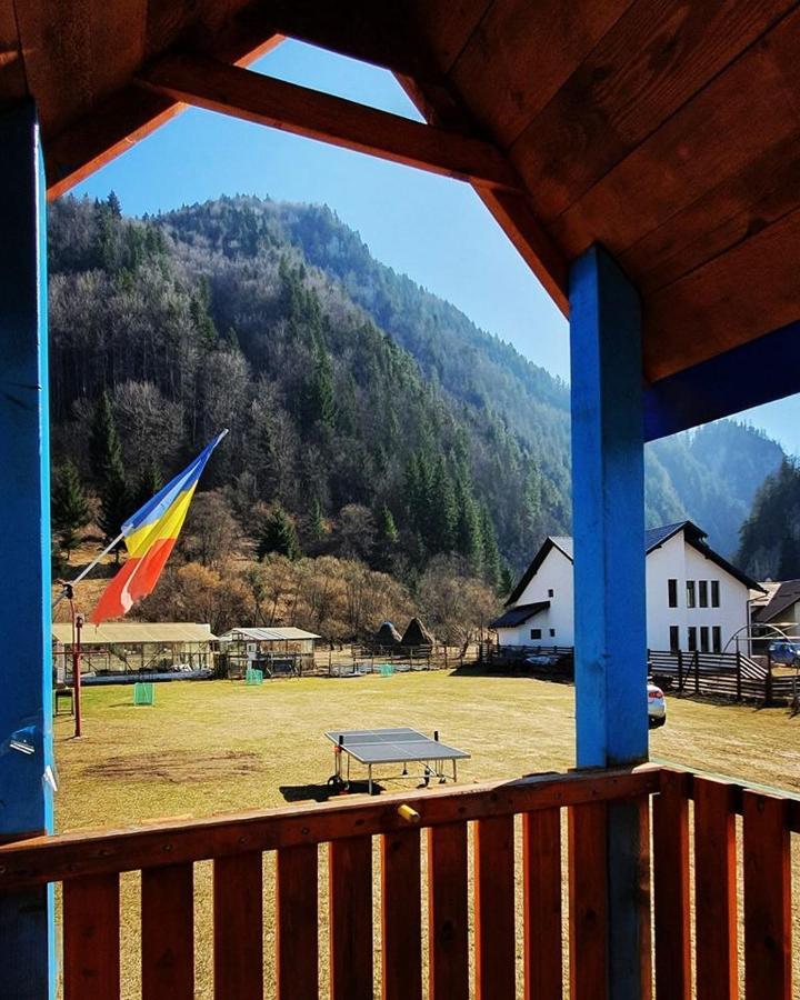 Casa Petruta Dambovicioara Podu Dimbovitei Exterior foto