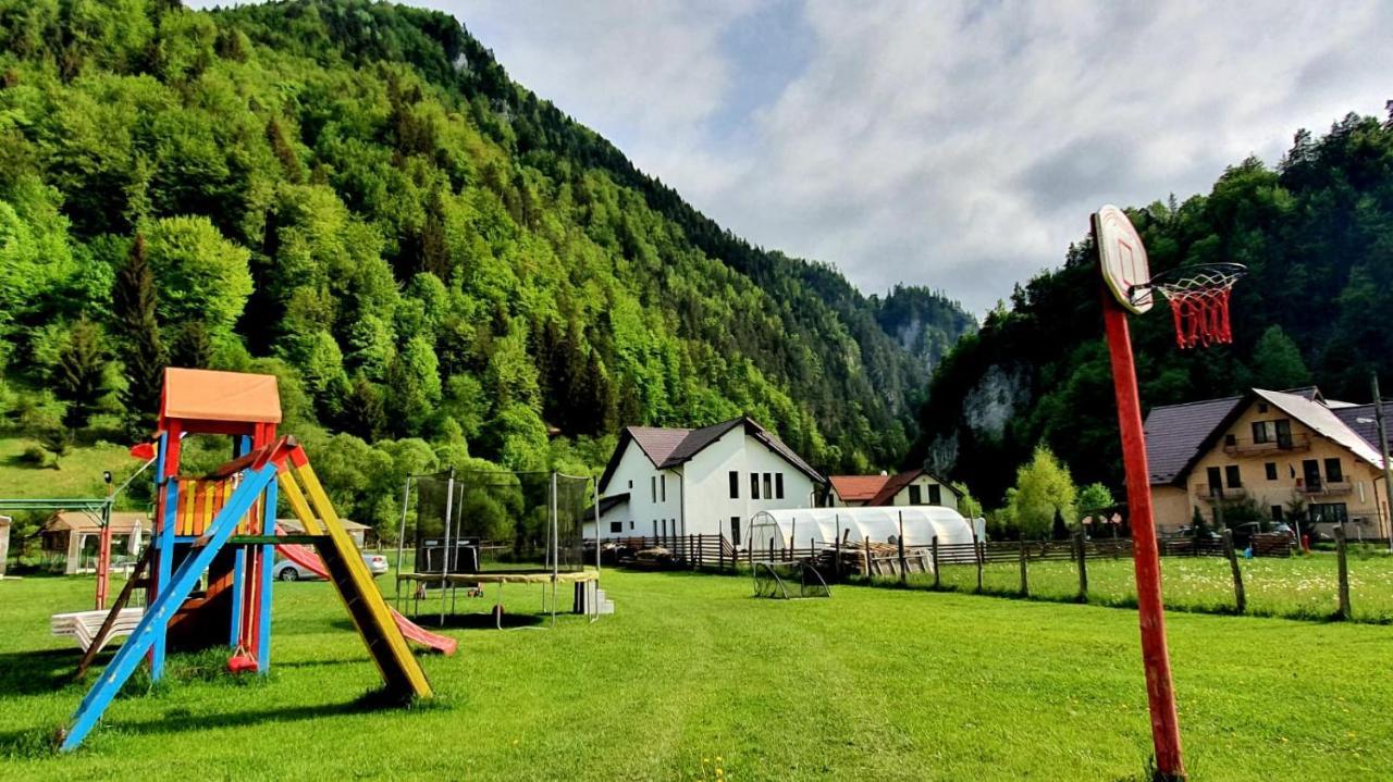 Casa Petruta Dambovicioara Podu Dimbovitei Exterior foto