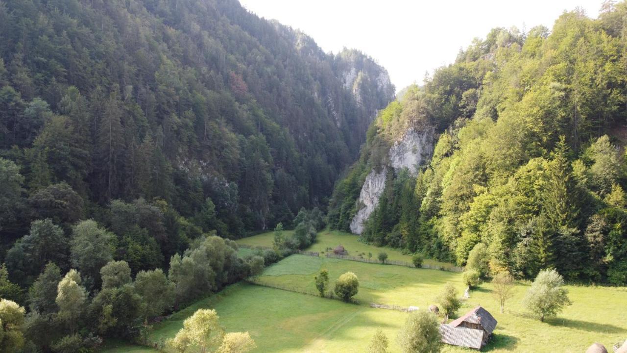 Casa Petruta Dambovicioara Podu Dimbovitei Exterior foto
